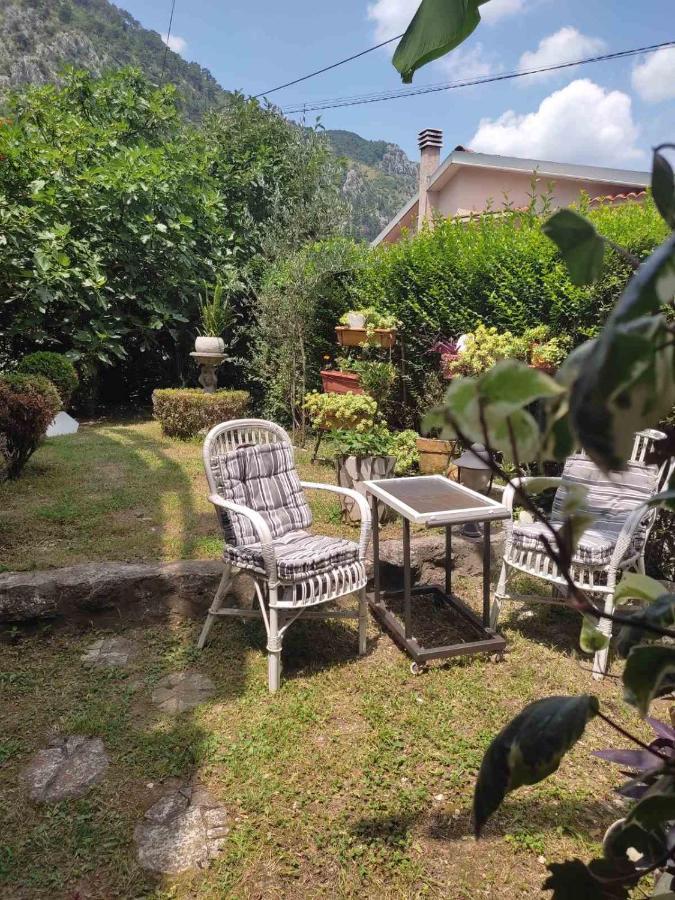 Apartman Art Kotor Luaran gambar